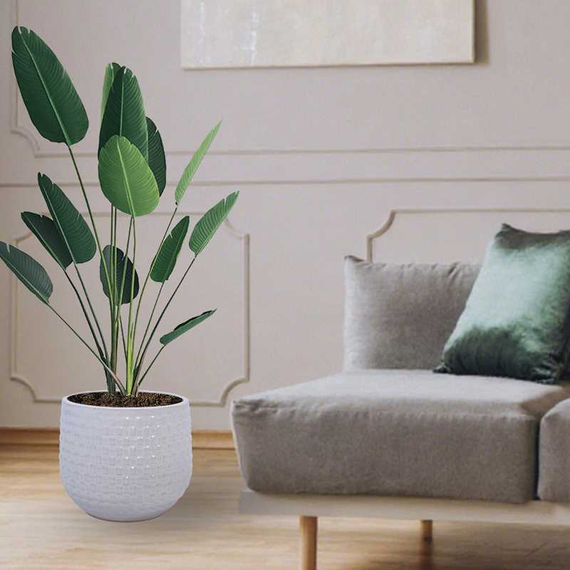 3 Pieces Ceramic Flowerpot, Modern Planter for Patio, Garden or Windowsills - Matte White