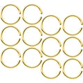 18G 5/16 Gold Tone Anodized Seamless Circular Ring Set of 12