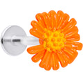 16G 5/16 Orange Daisy Flower Labret Monroe Tragus