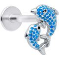16G 5/16 Black Gem Blue Leaping Dolphins Labret Monroe Tragus
