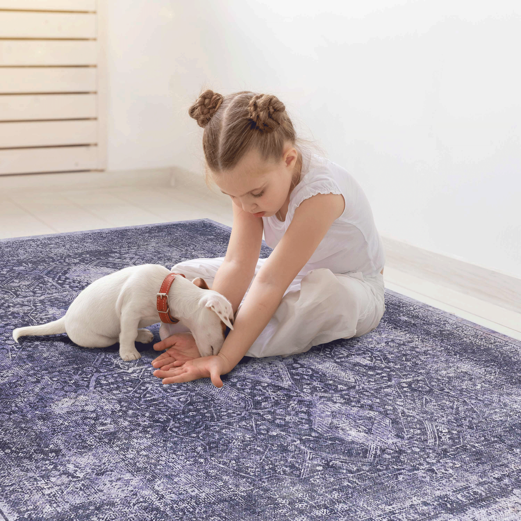 Area Rug 3x5, Washable Rug, Low-Pile, Non-Slip, Non-Shedding, Foldable, Kid & Pet Friendly - Area Rugs for living room, bedroom, kitchen, dining room rug - Perfect Gifts, (Anthracite, 3' x 5')