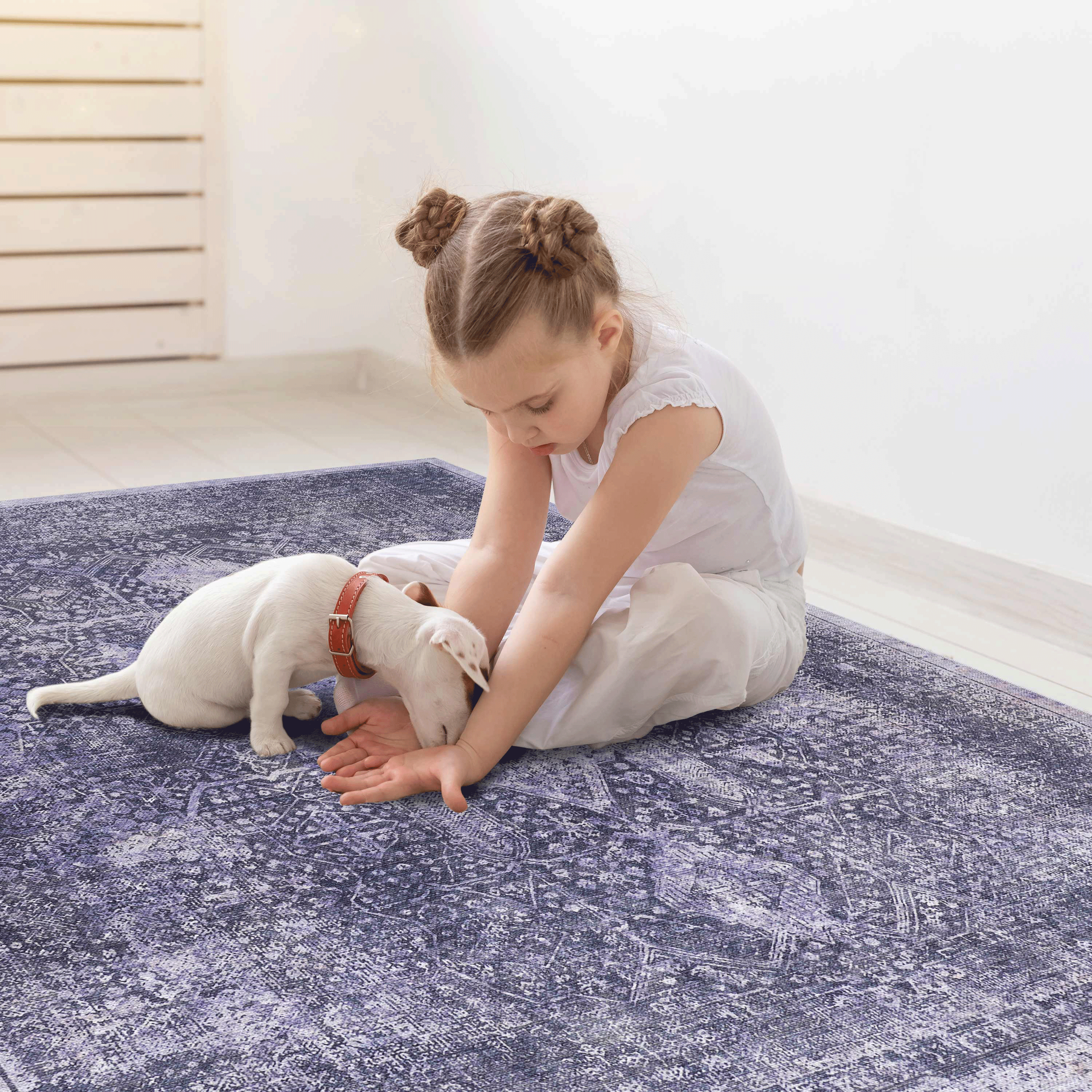 Area Rug 3x5, Washable Rug, Low-Pile, Non-Slip, Non-Shedding, Foldable, Kid & Pet Friendly - Area Rugs for living room, bedroom, kitchen, dining room rug - Perfect Gifts, (Anthracite, 3' x 5')