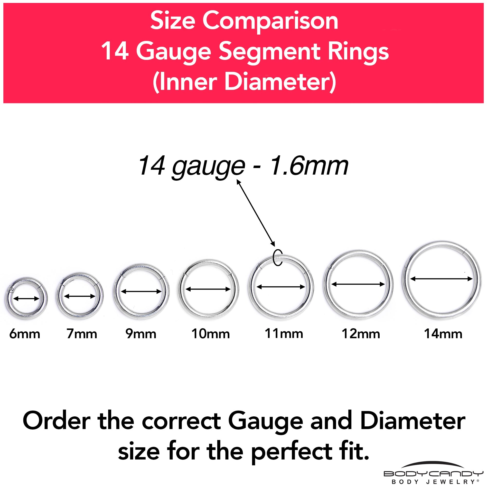 14G 1/2 316L Surgical Steel Precision Hinged Segment Hoop