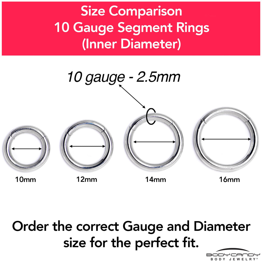 10G 5/8 316L Surgical Steel Precision Hinged Segment Hoop