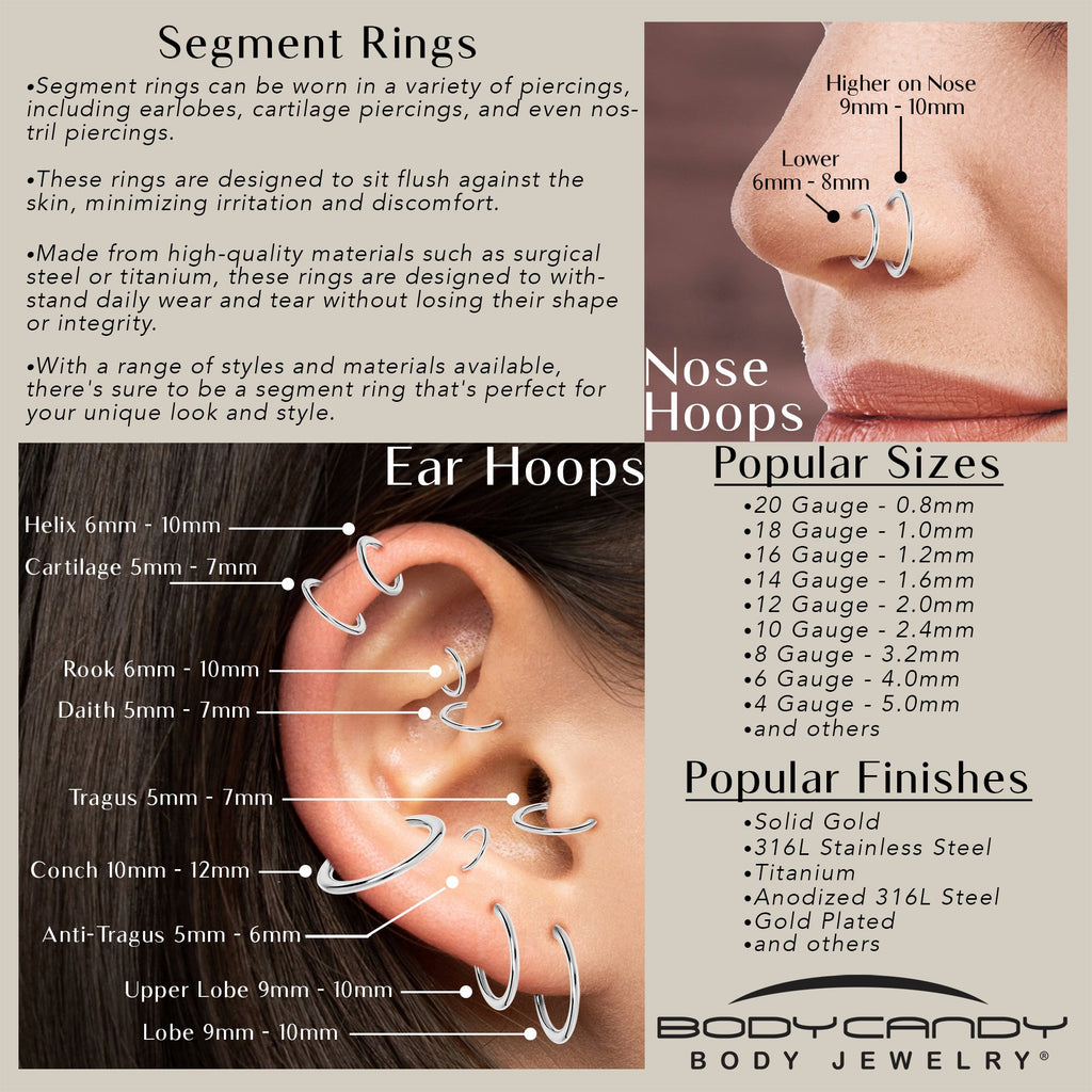 8G 1/2 316L Surgical Steel Precision Hinged Segment Hoop