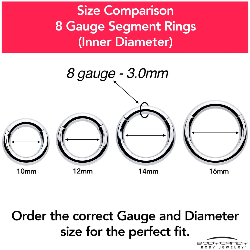 8G 5/8 316L Surgical Steel Precision Hinged Segment Hoop