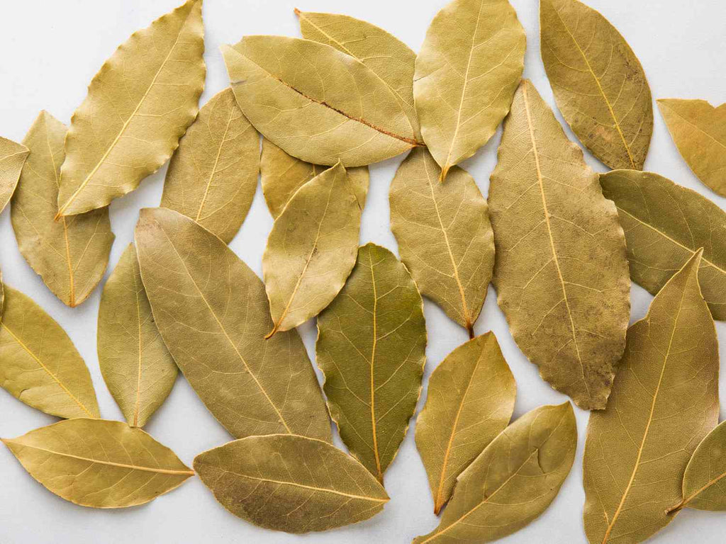 Bay Leaves – Ritual Herb for Spells, Manifestation & Protection -- by Moon Water Apothecary!