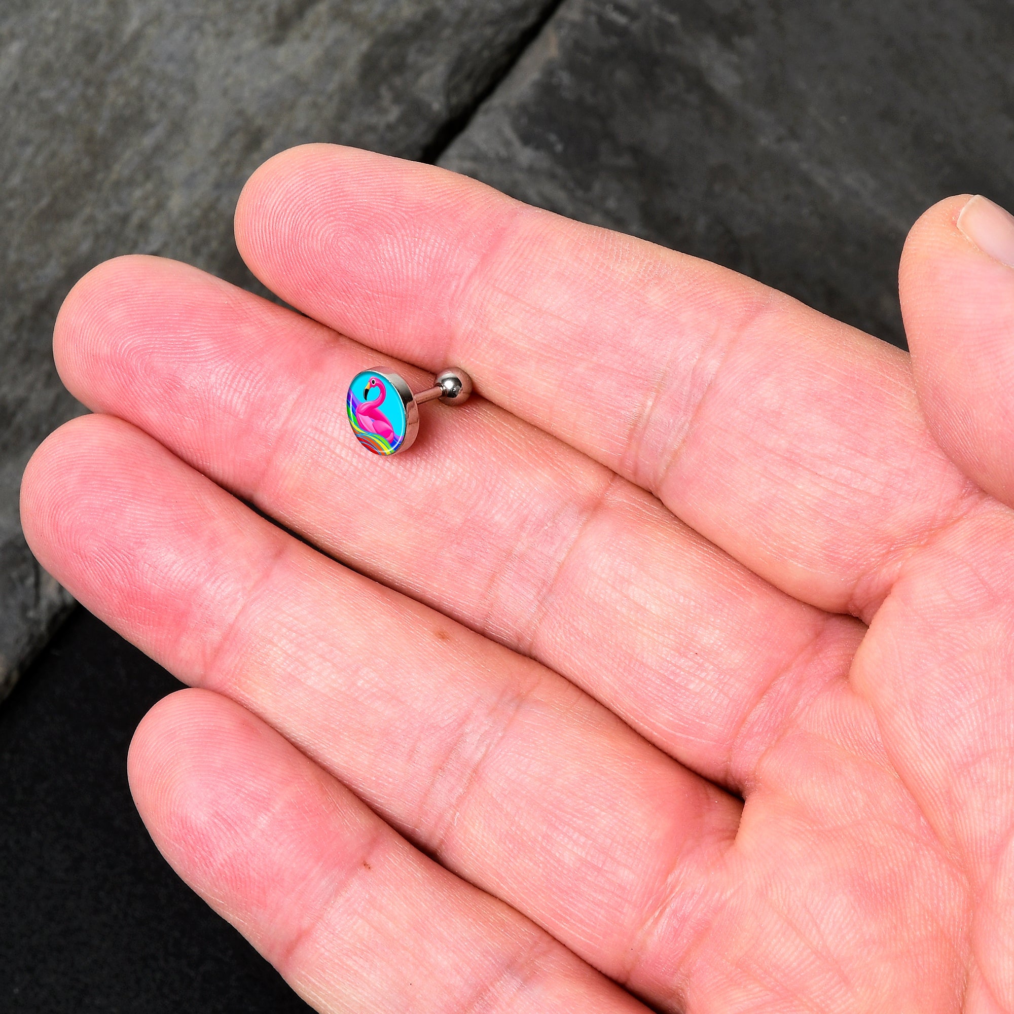 16G 1/4 Rainbow Sea Floating Flamingo Cartilage Tragus Earring by Onyx O