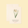 Ephesians 2:8, Saved by Grace—Scripture Floral Greeting Card