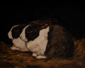 Cotswold Rabbit Print