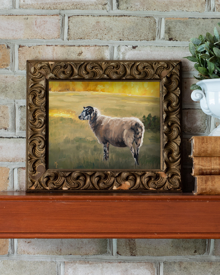 Cotswold Sheep Print