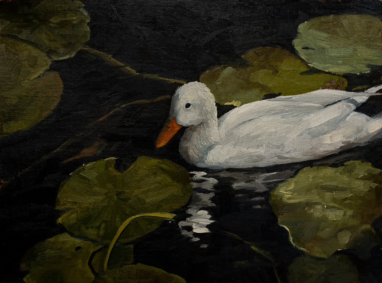Duck 1 Print
