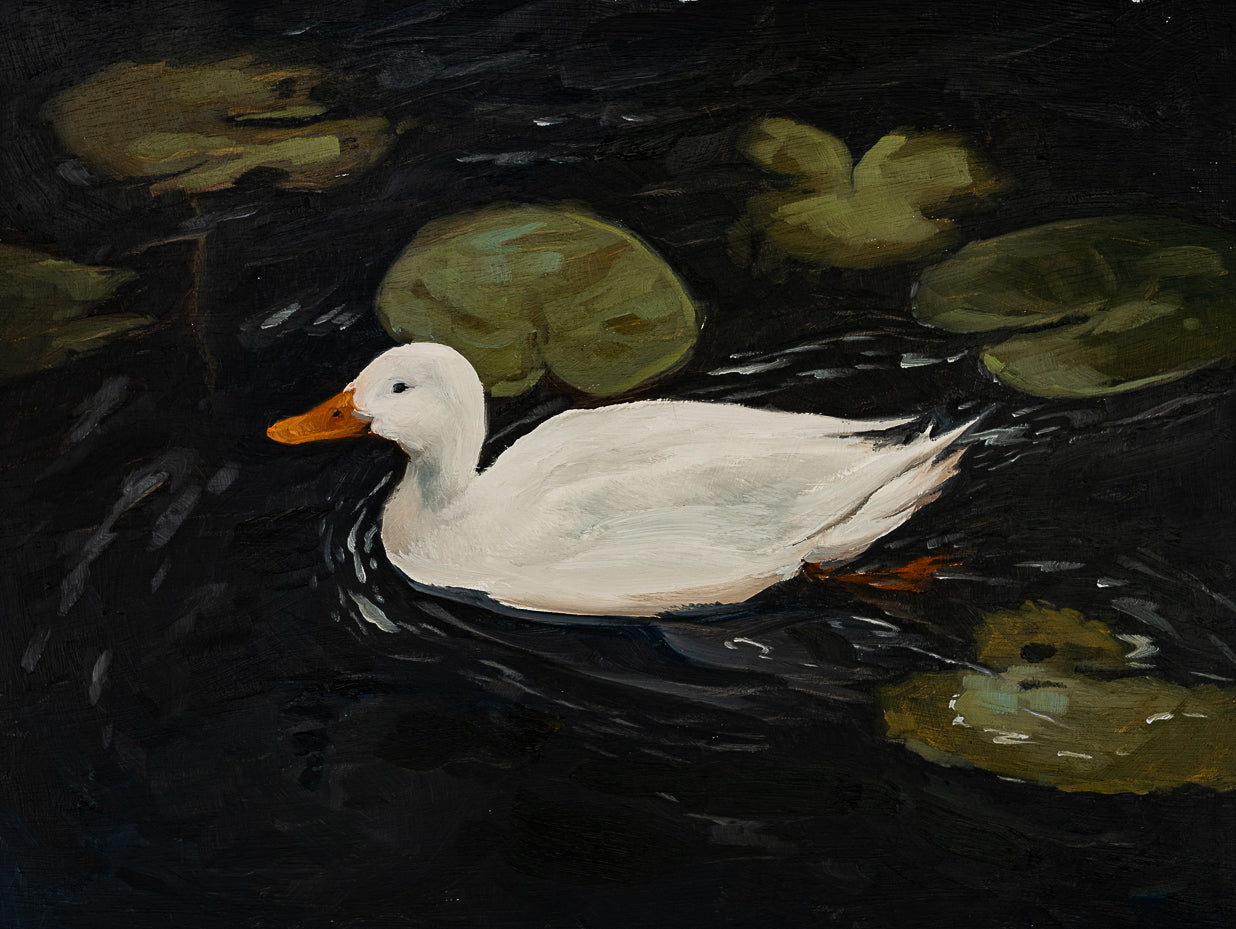 Duck 2 Print