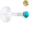 16G 1/4 Solid 14K White Gold 2mm Genuine Turquoise Bioplast Cartilage Earring Stud