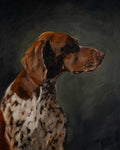 German Shorthaired Pointer Profile Print