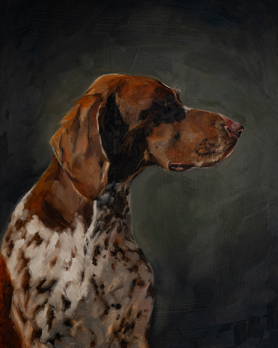 German Shorthaired Pointer Profile Print