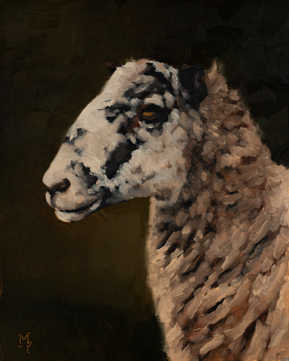 Hidcote Sheep Profile Print