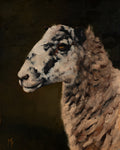 Hidcote Sheep Profile Print