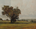 Minchinhampton Field Print