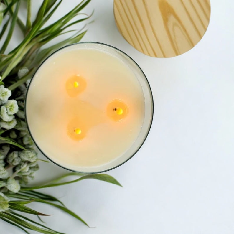 Citronella Candle – 16 oz 3-Wick Outdoor Mosquito Repellent with Essential Oils -- by Moon Water Apothecary!