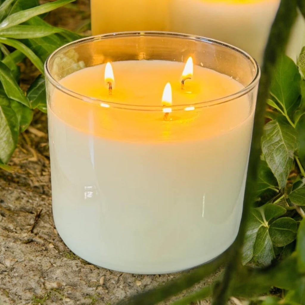 Citronella Candle – 16 oz 3-Wick Outdoor Mosquito Repellent with Essential Oils -- by Moon Water Apothecary!