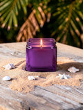 Island Daydream Soy Candle | 8.5 oz | Moon Water Apothecary