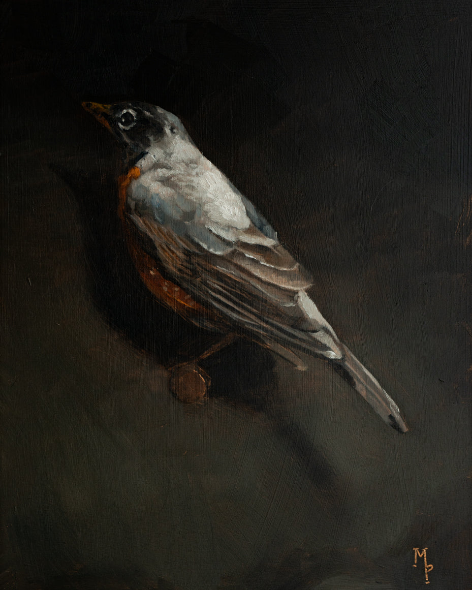 Robin Print