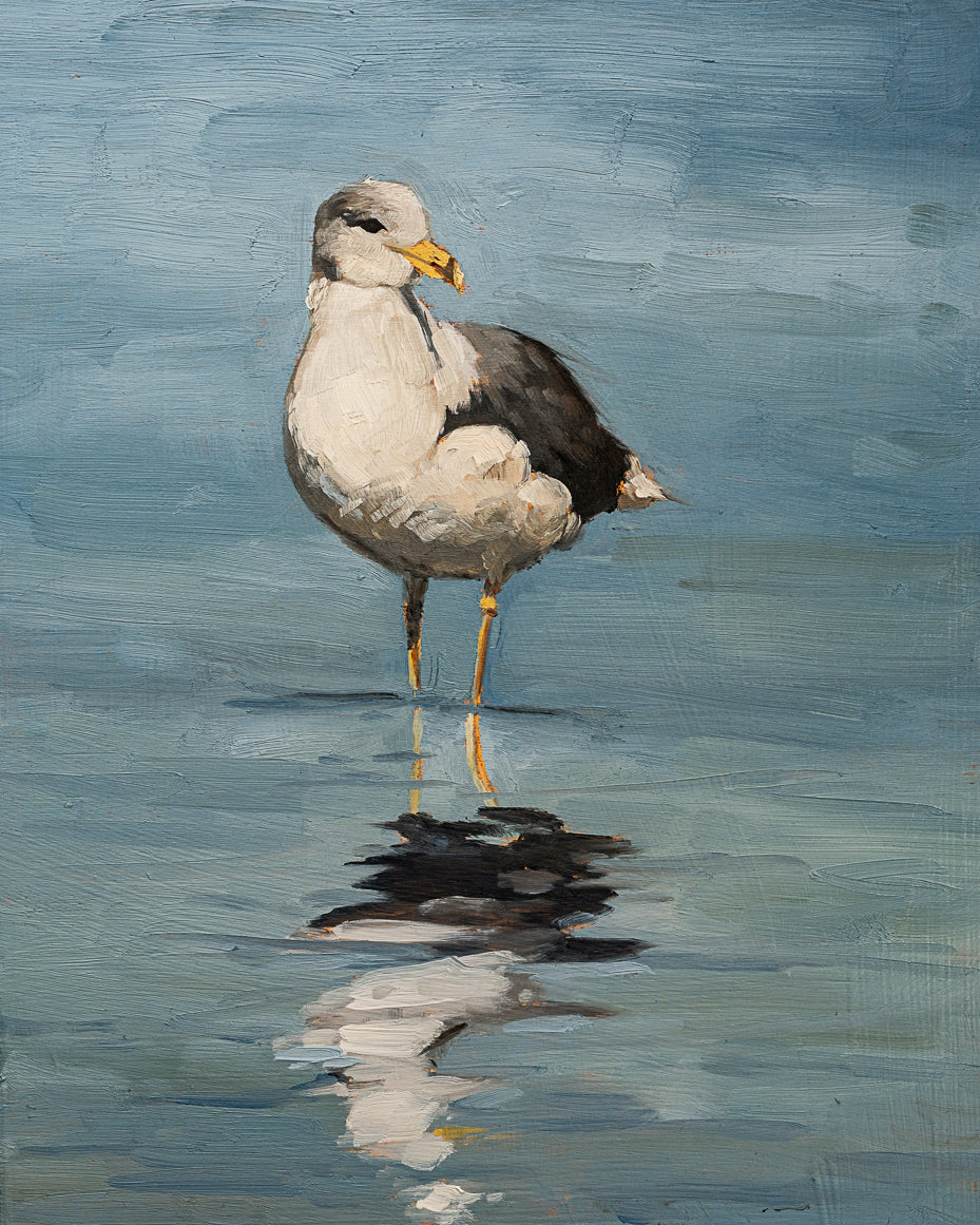 Seagull Print