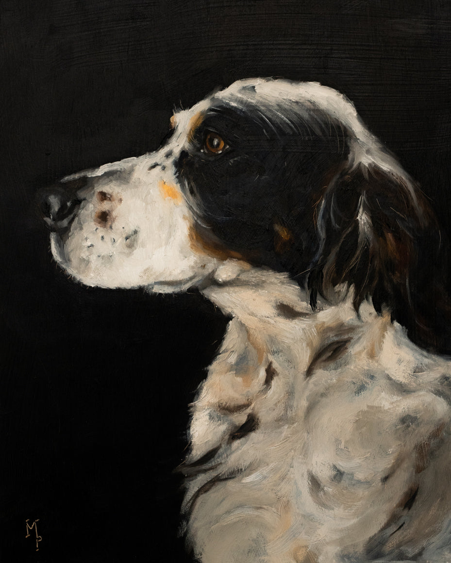 Spaniel Profile Print