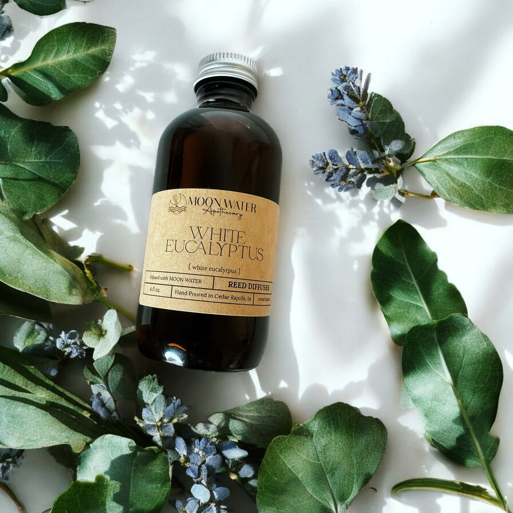 White Eucalyptus - REED DIFFUSER  – Fresh Clean Aromatherapy Scent -- by Moon Water Apothecary!