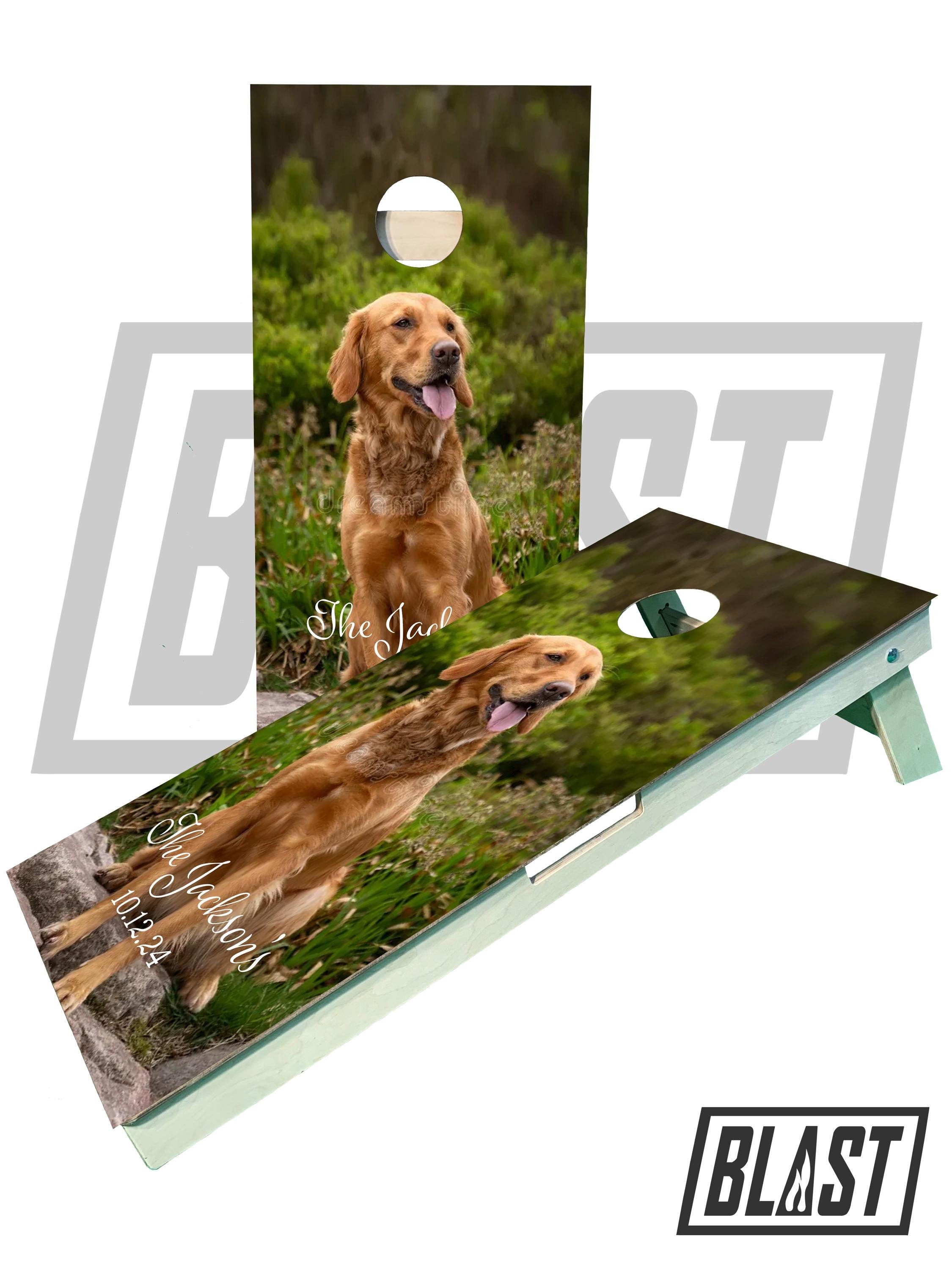 Custom Cornhole Boards (Your Company Logo, Image, Sport Team, or other Custom Design Request)