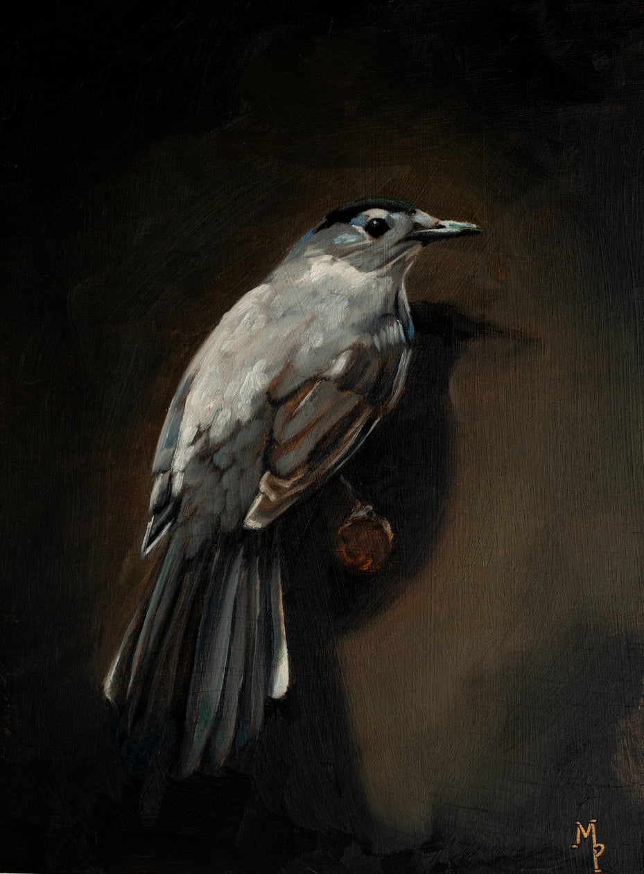 Catbird Print