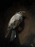 Catbird Print