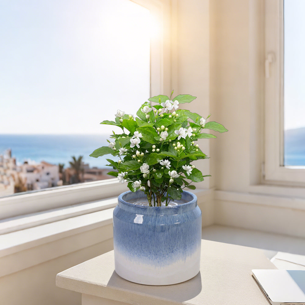 Set of 2 Gradient Ceramic Flowerpot, Modern Planter for Patio, Garden, Windowsill - White Blue