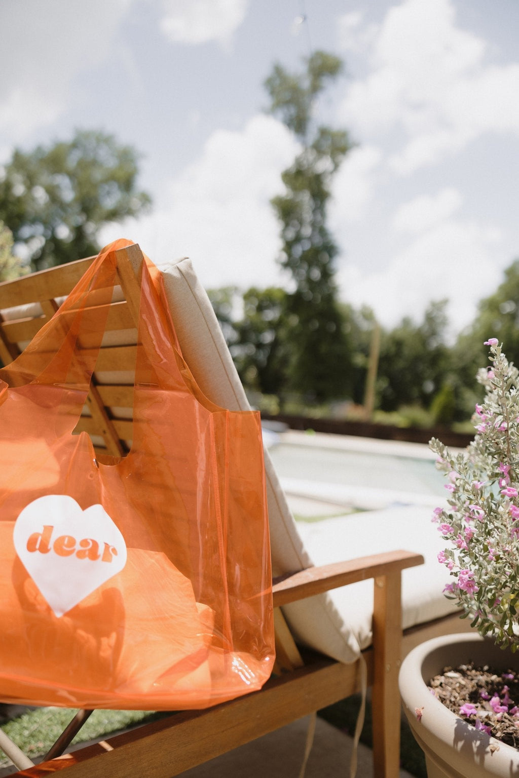 Clear Cutie Tote