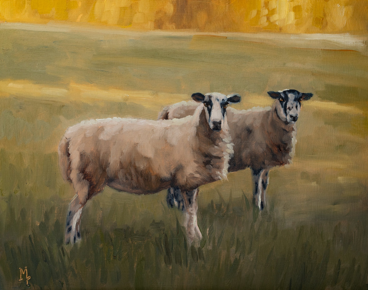 Cotswold Sheep Pair Print