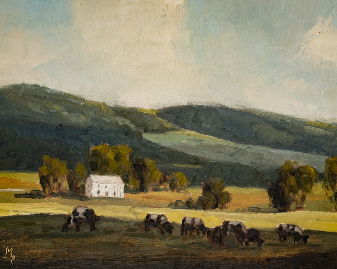 Cows In Shadow Print