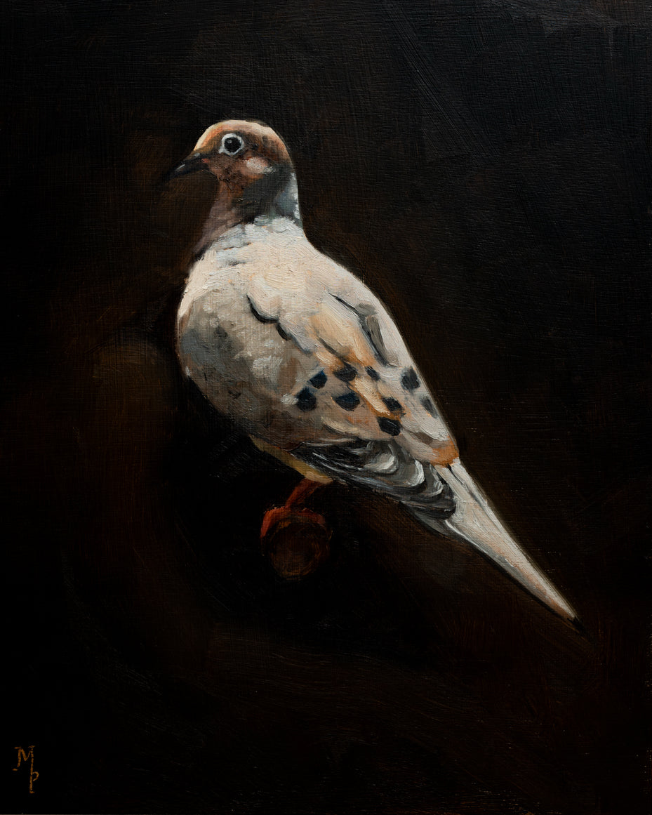Dove Print