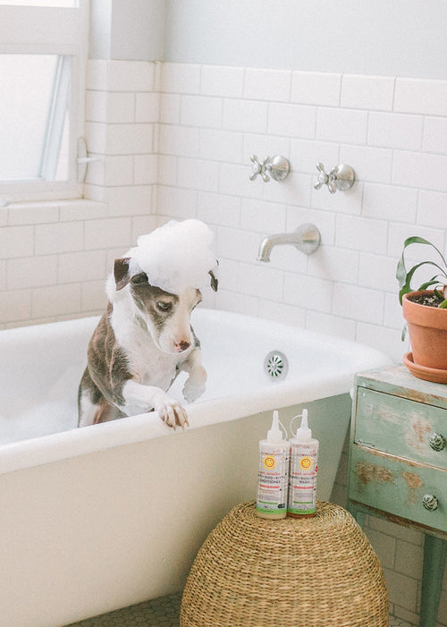 (No Fragrance) Super Sensitive™ Puppy + Dog + Kitty Conditioner