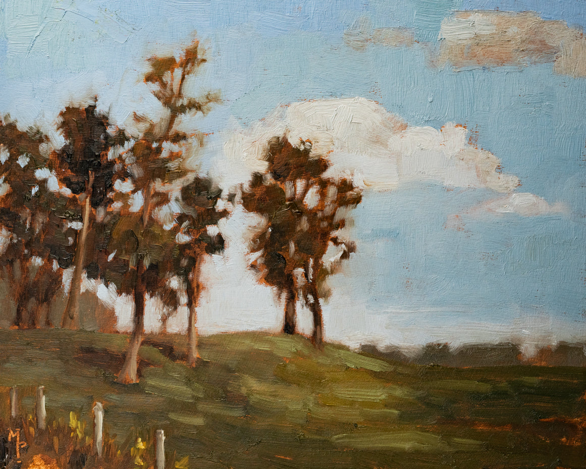 Gentle Slope Print