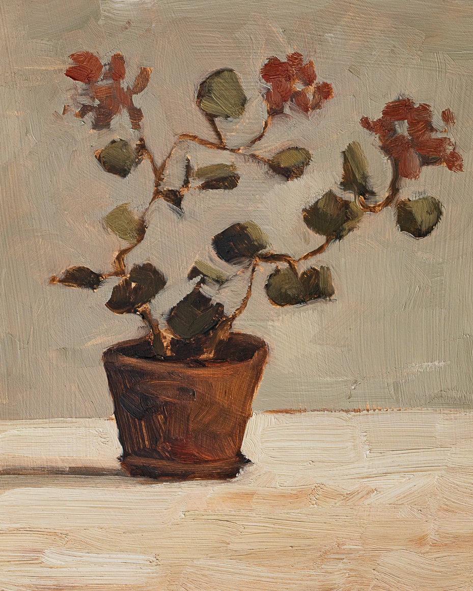Geranium Sketch 2 Print