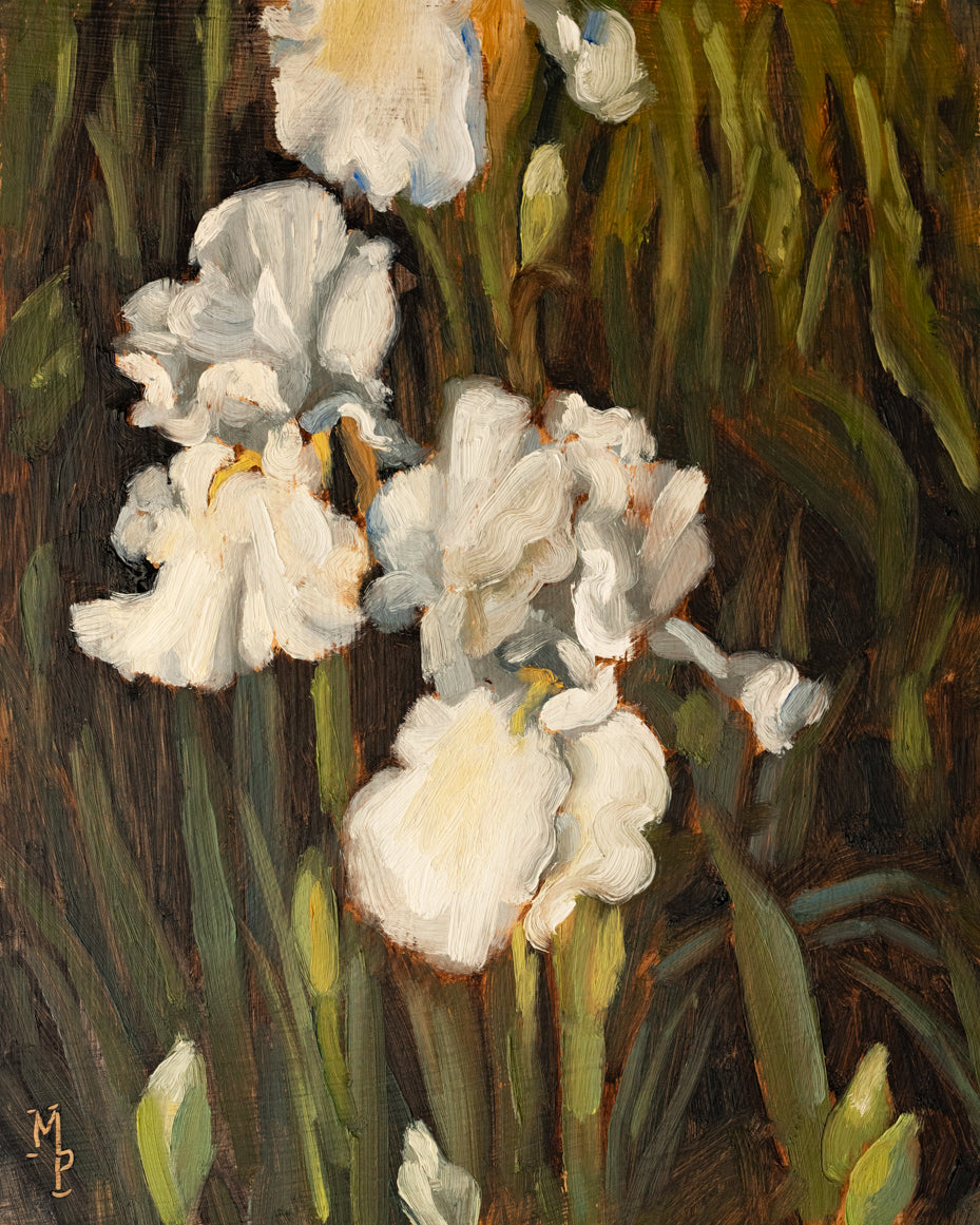 Irises One Print