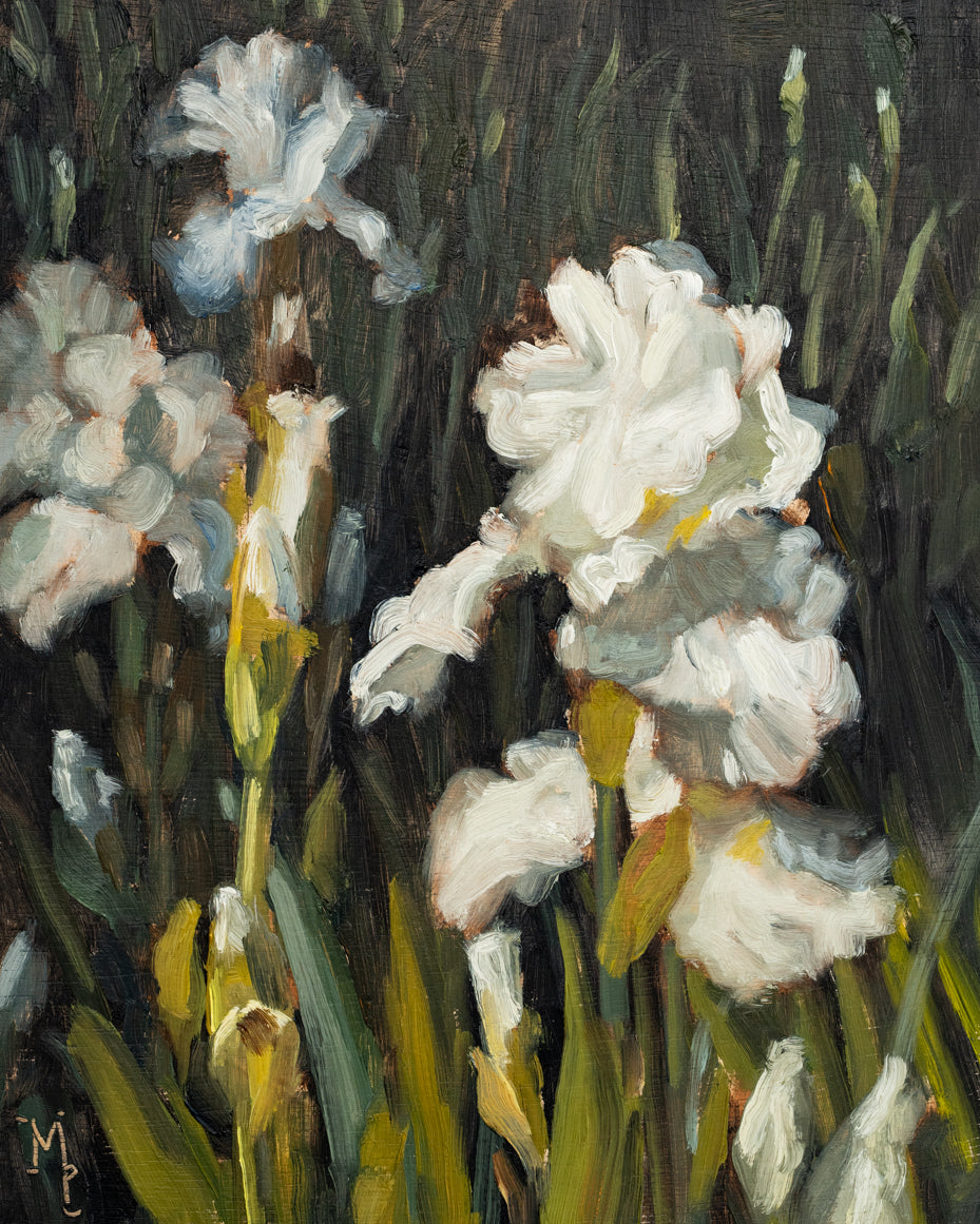Irises Two Print