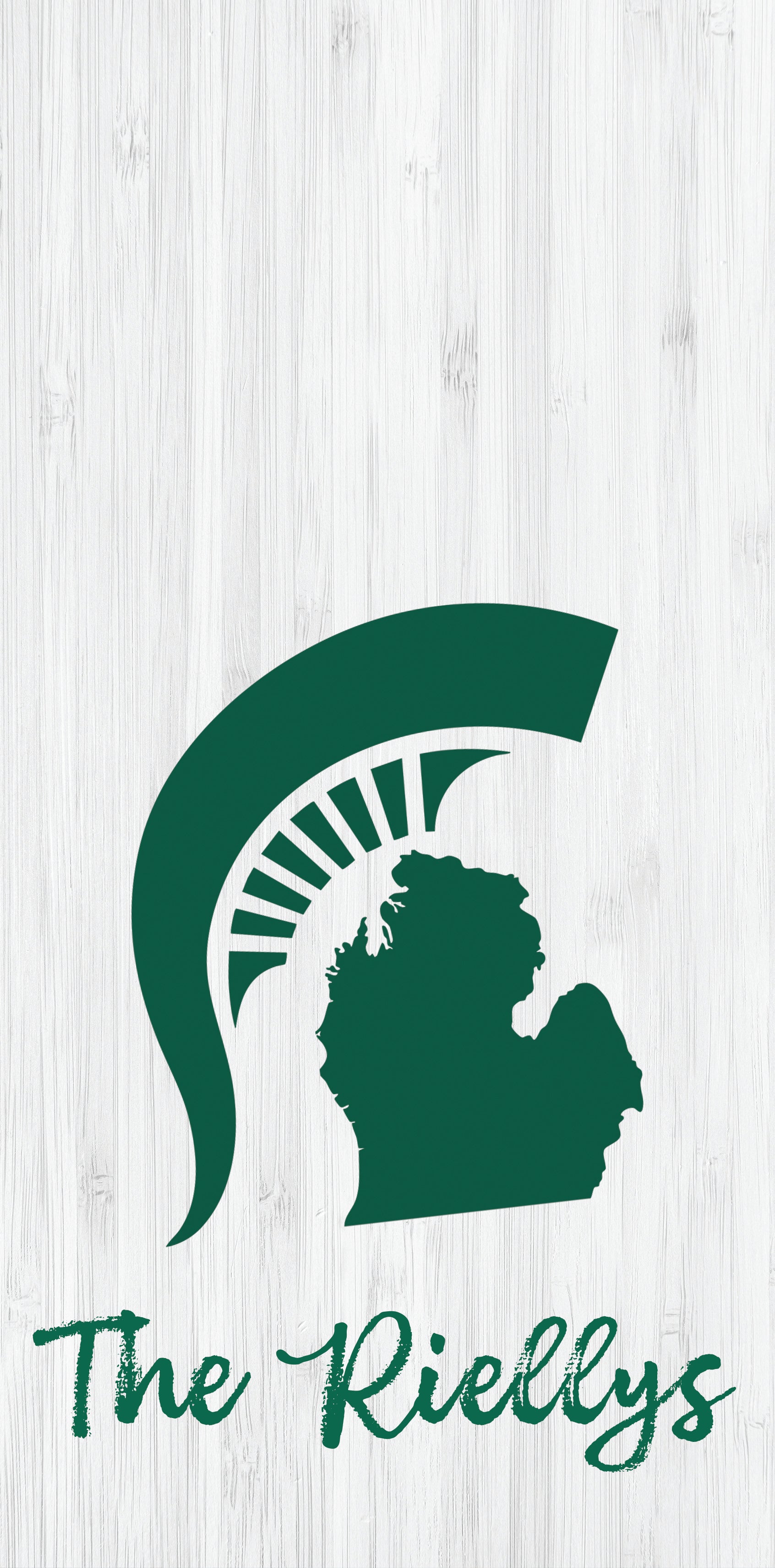 State of Michigan Custom Name Pro Style Cornhole Boards