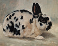 Spotted Rabbit Print