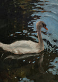 Swan 1 Print