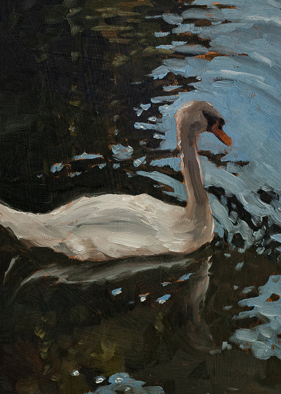 Swan 1 Print