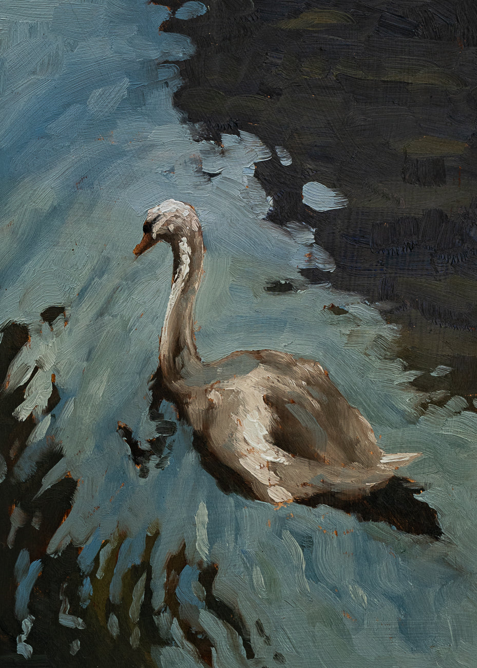 Swan 2 Print